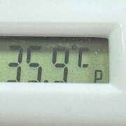 ヒメ日記 2024/12/29 11:04 投稿 愛ちゃん❤️若妻系 向日葵（ひまわり)