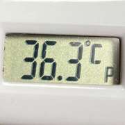 ヒメ日記 2025/01/12 10:44 投稿 愛ちゃん❤️若妻系 向日葵（ひまわり)