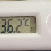 ヒメ日記 2025/02/04 10:52 投稿 愛ちゃん❤️若妻系 向日葵（ひまわり)