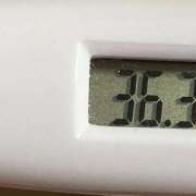 ヒメ日記 2025/02/06 10:51 投稿 愛ちゃん❤️若妻系 向日葵（ひまわり)