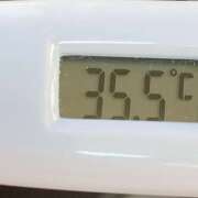 ヒメ日記 2025/02/09 09:51 投稿 愛ちゃん❤️若妻系 向日葵（ひまわり)