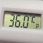 ヒメ日記 2025/02/11 10:57 投稿 愛ちゃん❤️若妻系 向日葵（ひまわり)