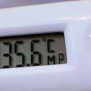 ヒメ日記 2025/02/13 11:44 投稿 愛ちゃん❤️若妻系 向日葵（ひまわり)