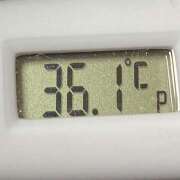 ヒメ日記 2025/02/15 11:01 投稿 愛ちゃん❤️若妻系 向日葵（ひまわり)