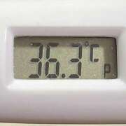 ヒメ日記 2025/02/23 11:05 投稿 愛ちゃん❤️若妻系 向日葵（ひまわり)