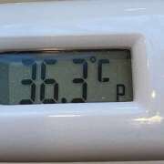 ヒメ日記 2025/02/25 17:24 投稿 愛ちゃん❤️若妻系 向日葵（ひまわり)