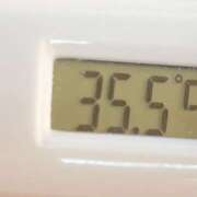 ヒメ日記 2025/02/27 10:59 投稿 愛ちゃん❤️若妻系 向日葵（ひまわり)