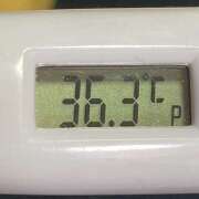 ヒメ日記 2025/03/04 11:05 投稿 愛ちゃん❤️若妻系 向日葵（ひまわり)