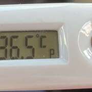 ヒメ日記 2025/03/09 11:50 投稿 愛ちゃん❤️若妻系 向日葵（ひまわり)