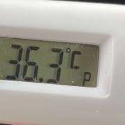 ヒメ日記 2025/03/24 10:58 投稿 愛ちゃん❤️若妻系 向日葵（ひまわり)