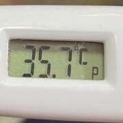 ヒメ日記 2025/03/25 10:43 投稿 愛ちゃん❤️若妻系 向日葵（ひまわり)