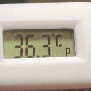 ヒメ日記 2025/03/26 11:04 投稿 愛ちゃん❤️若妻系 向日葵（ひまわり)