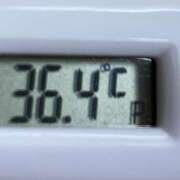 ヒメ日記 2025/03/27 10:58 投稿 愛ちゃん❤️若妻系 向日葵（ひまわり)