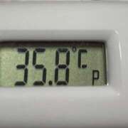 ヒメ日記 2025/03/28 11:05 投稿 愛ちゃん❤️若妻系 向日葵（ひまわり)