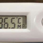 ヒメ日記 2025/03/29 10:59 投稿 愛ちゃん❤️若妻系 向日葵（ひまわり)