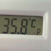 ヒメ日記 2025/04/05 09:58 投稿 愛ちゃん❤️若妻系 向日葵（ひまわり)