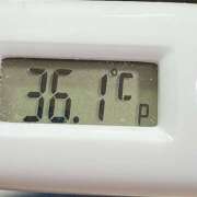 ヒメ日記 2025/04/08 10:56 投稿 愛ちゃん❤️若妻系 向日葵（ひまわり)