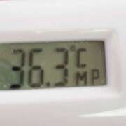 ヒメ日記 2025/04/10 11:00 投稿 愛ちゃん❤️若妻系 向日葵（ひまわり)