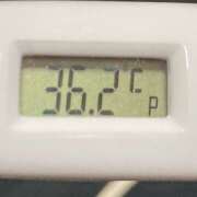 ヒメ日記 2025/04/14 12:06 投稿 愛ちゃん❤️若妻系 向日葵（ひまわり)