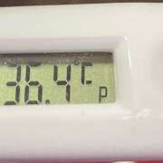 ヒメ日記 2025/04/15 11:12 投稿 愛ちゃん❤️若妻系 向日葵（ひまわり)