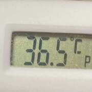 ヒメ日記 2025/04/19 10:57 投稿 愛ちゃん❤️若妻系 向日葵（ひまわり)