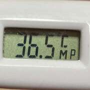 ヒメ日記 2025/04/28 11:19 投稿 愛ちゃん❤️若妻系 向日葵（ひまわり)