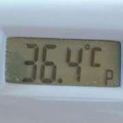 ヒメ日記 2025/04/29 10:51 投稿 愛ちゃん❤️若妻系 向日葵（ひまわり)