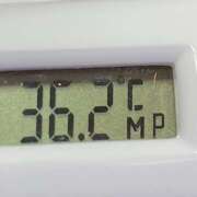 ヒメ日記 2025/05/12 11:19 投稿 愛ちゃん❤️若妻系 向日葵（ひまわり)