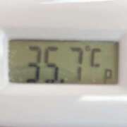 ヒメ日記 2025/05/13 10:45 投稿 愛ちゃん❤️若妻系 向日葵（ひまわり)