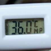 ヒメ日記 2025/06/14 11:04 投稿 愛ちゃん❤️若妻系 向日葵（ひまわり)