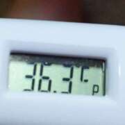 ヒメ日記 2025/06/15 10:55 投稿 愛ちゃん❤️若妻系 向日葵（ひまわり)