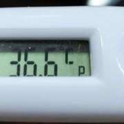 ヒメ日記 2025/06/17 10:50 投稿 愛ちゃん❤️若妻系 向日葵（ひまわり)