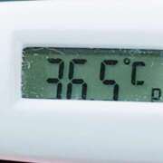 ヒメ日記 2025/07/08 10:51 投稿 愛ちゃん❤️若妻系 向日葵（ひまわり)