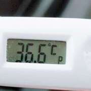 ヒメ日記 2025/07/09 10:57 投稿 愛ちゃん❤️若妻系 向日葵（ひまわり)