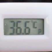 ヒメ日記 2025/07/30 11:42 投稿 愛ちゃん❤️若妻系 向日葵（ひまわり)