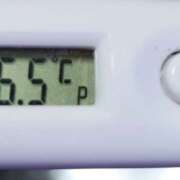 ヒメ日記 2025/07/31 11:22 投稿 愛ちゃん❤️若妻系 向日葵（ひまわり)