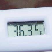 ヒメ日記 2025/08/17 11:13 投稿 愛ちゃん❤️若妻系 向日葵（ひまわり)