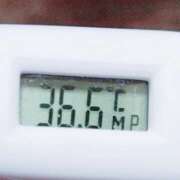 ヒメ日記 2025/09/01 11:04 投稿 愛ちゃん❤️若妻系 向日葵（ひまわり)