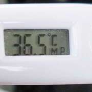 ヒメ日記 2025/09/12 11:52 投稿 愛ちゃん❤️若妻系 向日葵（ひまわり)