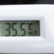 ヒメ日記 2025/09/13 09:51 投稿 愛ちゃん❤️若妻系 向日葵（ひまわり)