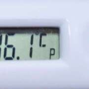 ヒメ日記 2025/09/21 11:28 投稿 愛ちゃん❤️若妻系 向日葵（ひまわり)