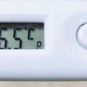 ヒメ日記 2025/09/22 11:20 投稿 愛ちゃん❤️若妻系 向日葵（ひまわり)