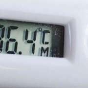 ヒメ日記 2025/09/29 10:59 投稿 愛ちゃん❤️若妻系 向日葵（ひまわり)