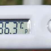 ヒメ日記 2025/09/30 11:19 投稿 愛ちゃん❤️若妻系 向日葵（ひまわり)