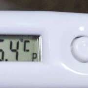 ヒメ日記 2025/10/13 10:11 投稿 愛ちゃん❤️若妻系 向日葵（ひまわり)