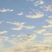 ヒメ日記 2025/10/13 16:28 投稿 愛ちゃん❤️若妻系 向日葵（ひまわり)