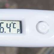 ヒメ日記 2025/10/28 11:18 投稿 愛ちゃん❤️若妻系 向日葵（ひまわり)