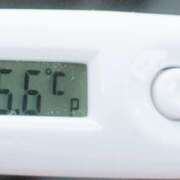 ヒメ日記 2025/11/01 09:47 投稿 愛ちゃん❤️若妻系 向日葵（ひまわり)