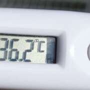 ヒメ日記 2025/11/07 10:58 投稿 愛ちゃん❤️若妻系 向日葵（ひまわり)