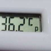 ヒメ日記 2025/11/10 11:11 投稿 愛ちゃん❤️若妻系 向日葵（ひまわり)